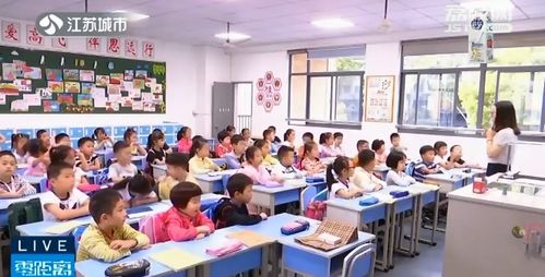 選擇周中課還是校內課后服務 專家強調效率才是重點，尤其針對營利性民辦職業技能培訓機構