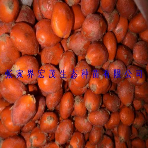 其他種子,種苗產(chǎn)品列表